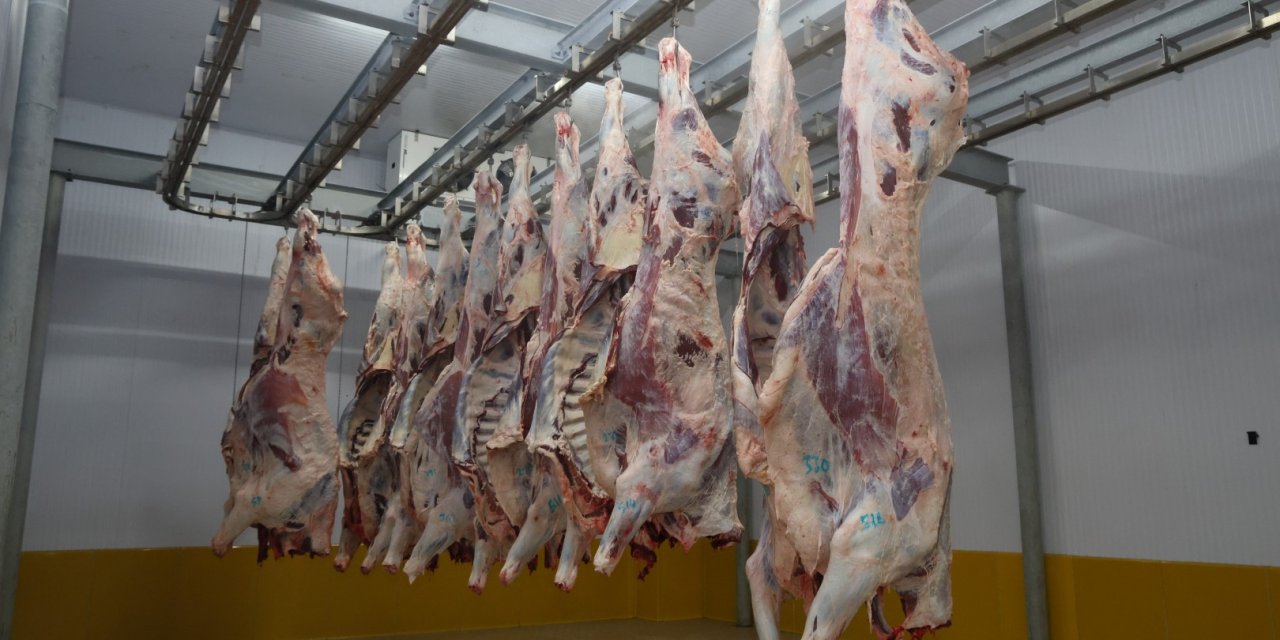 Büyükşehir Mezbahası’nda hijyenik ve helal kesim