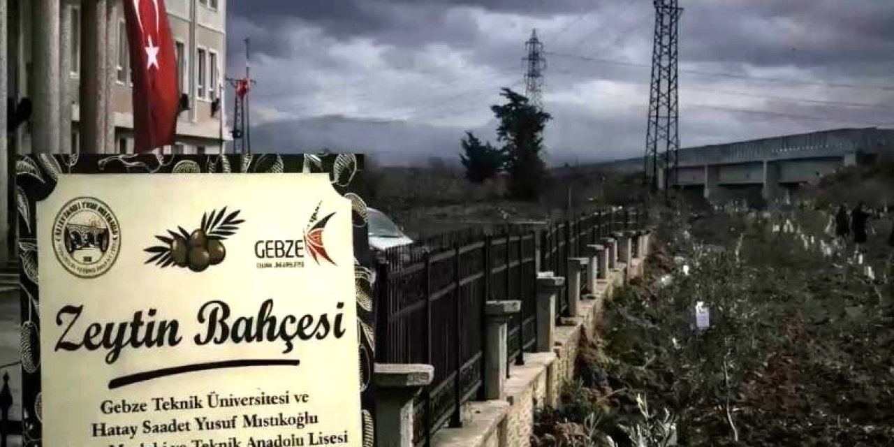 Hatay’a Depremde Yitirilen  Öğretmenler İçin Zeytinlik