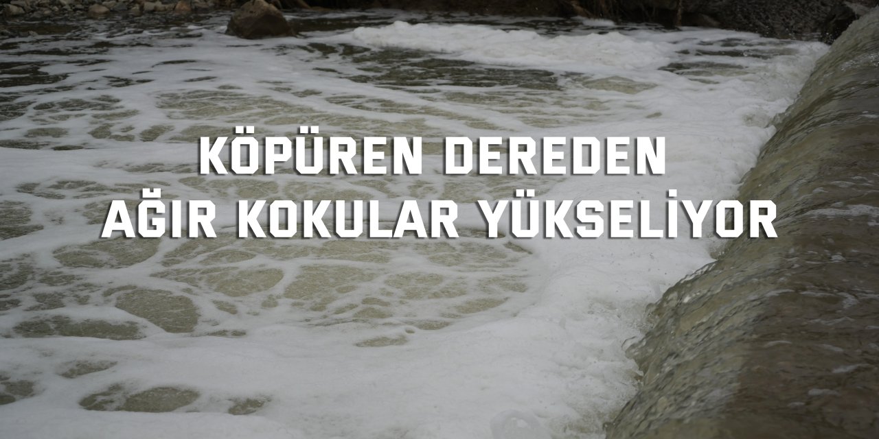Köpüren dereden ağır kokular yükseliyor