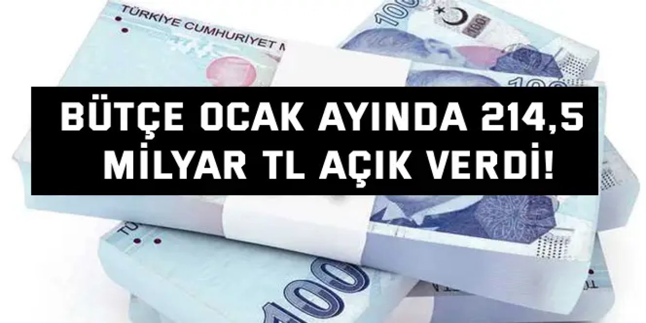 Bütçe Ocak ayında 214,5  milyar TL açık verdi!