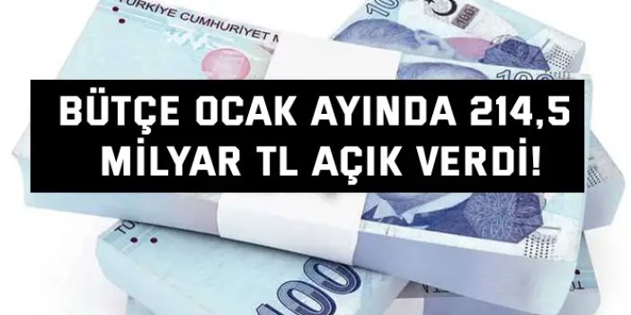 Bütçe Ocak ayında 214,5  milyar TL açık verdi!