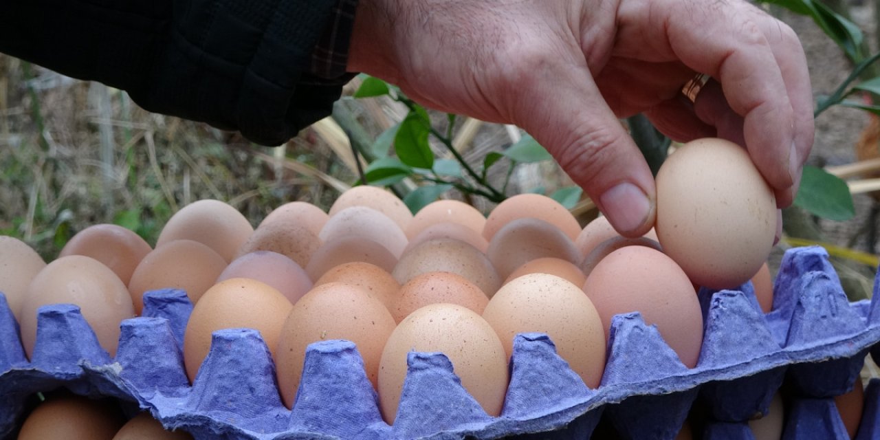 Yumurta Ramazan ayına zamsız girdi