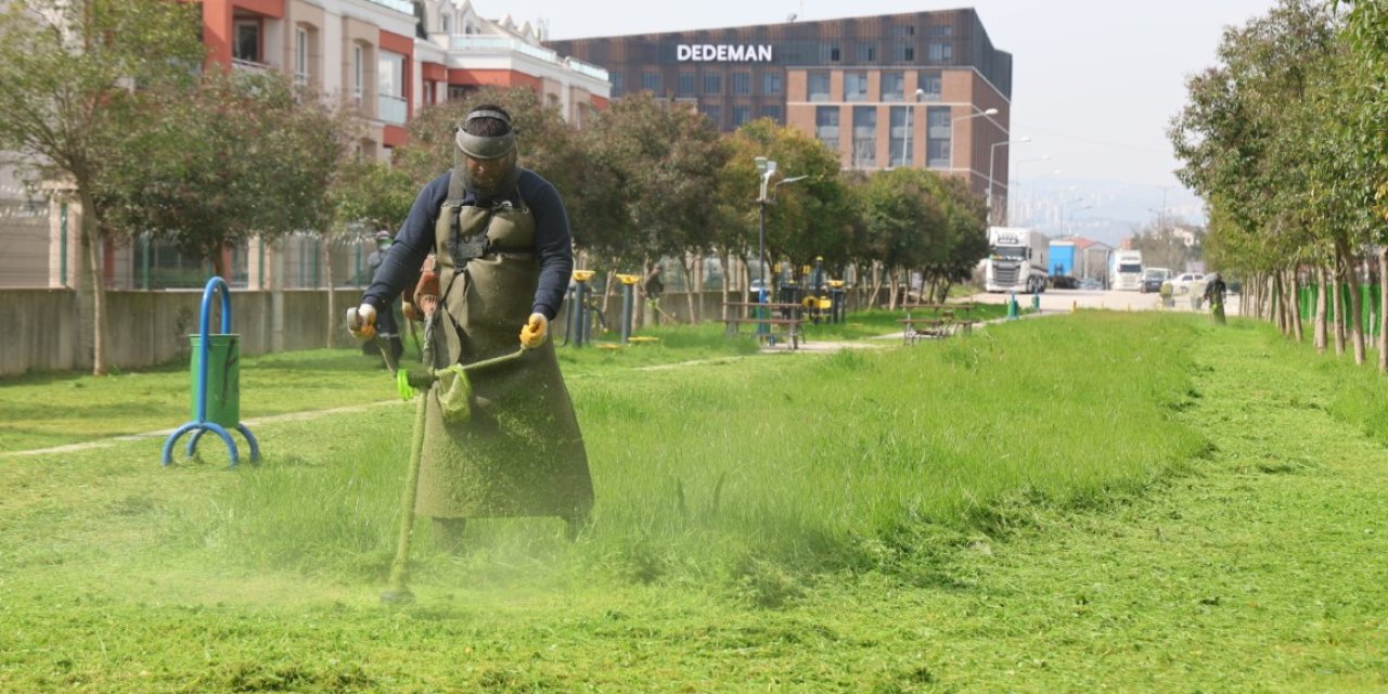 Bahar Temizliği Yabani Ot ve Dikenler Temizleniyor