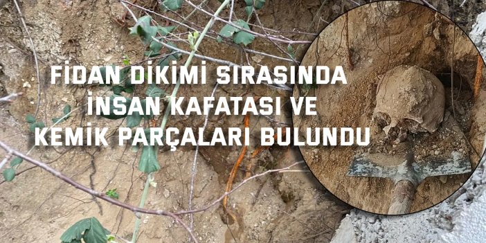 Fidan dikimi sırasında insan kafatası ve kemik parçaları bulundu