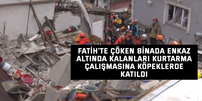 Fatih’te çöken binada enkaz altında kalanları kurtarma çalışmasına köpeklerde katıldı