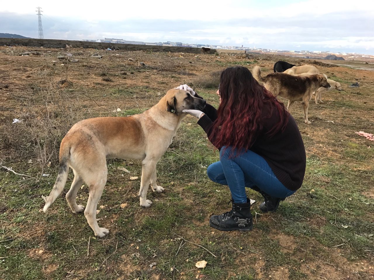 DARICA NEŞET YALÇIN ANADOLU LİSESİ
