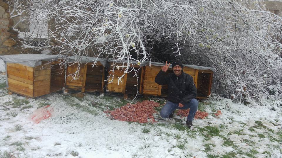 CANLARA KULÜBE OLARAK DÖNDÜ