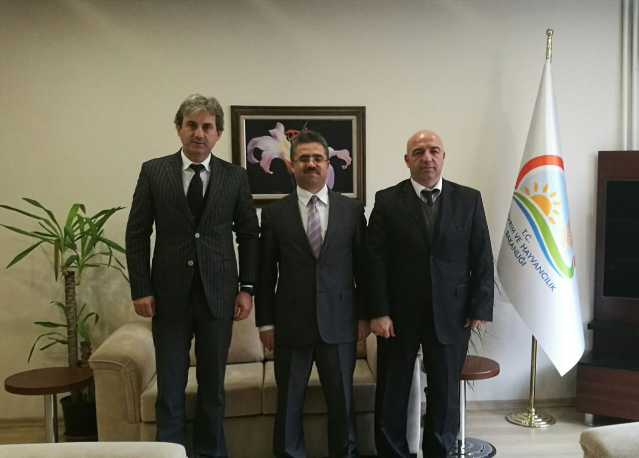 İzmit Körfezi’nde balıklandırma projesi 