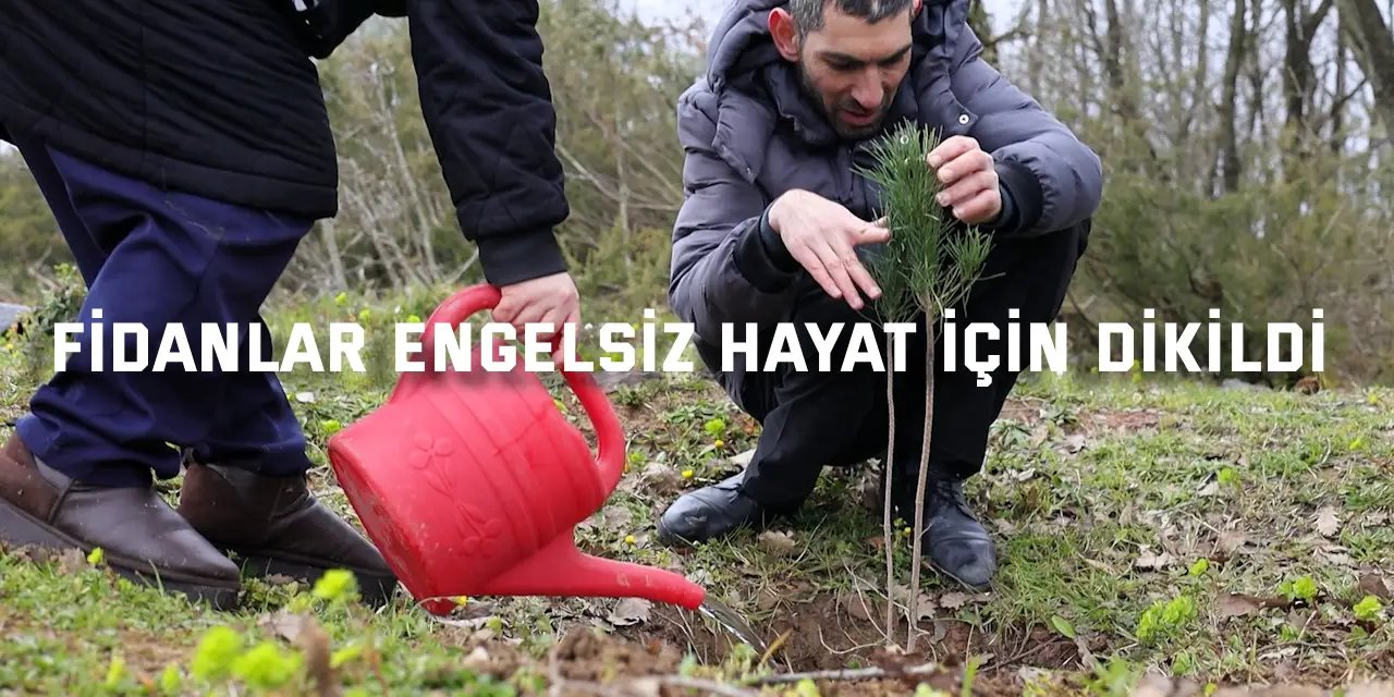Fidanlar engelsiz hayat için dikildi