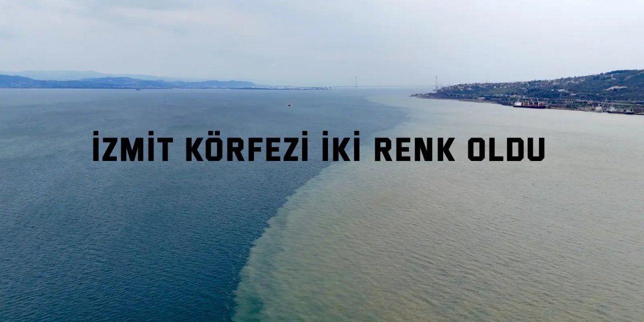 İzmit Körfezi iki renk oldu