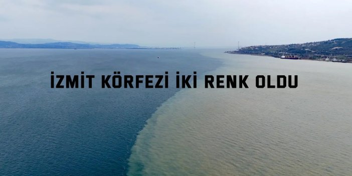 İzmit Körfezi iki renk oldu