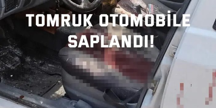 Tomruk otomobile saplandı!