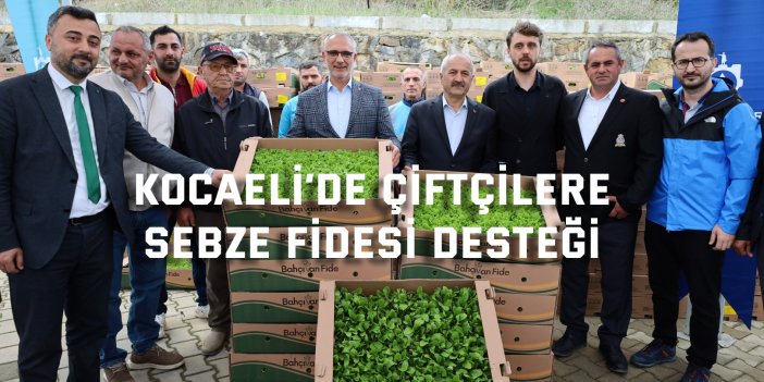 Kocaeli’de çiftçilere sebze fidesi desteği