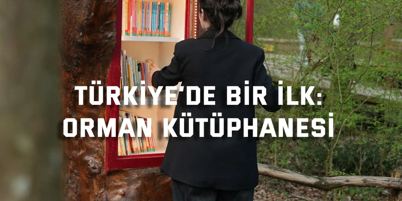 Orman Kütüphanesi’nde okuma keyfi bambaşka