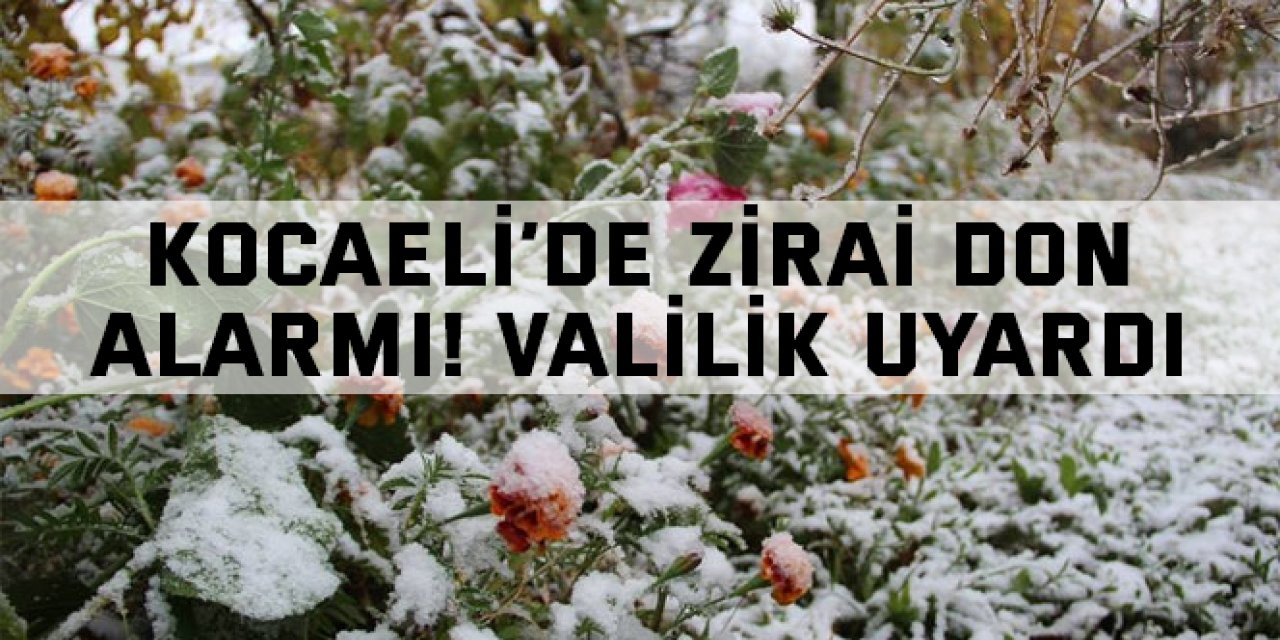 Kocaeli’de Zirai Don Alarmı! Valilik Uyardı