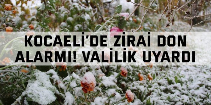 Kocaeli’de Zirai Don Alarmı! Valilik Uyardı