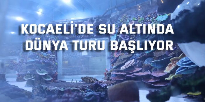 30 farklı akvaryum eşsiz bir gezi yaşatacak