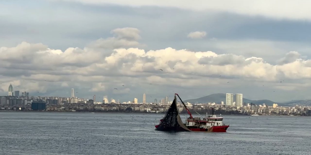 Av mevsiminin son günlerinde istavrit bolluğu