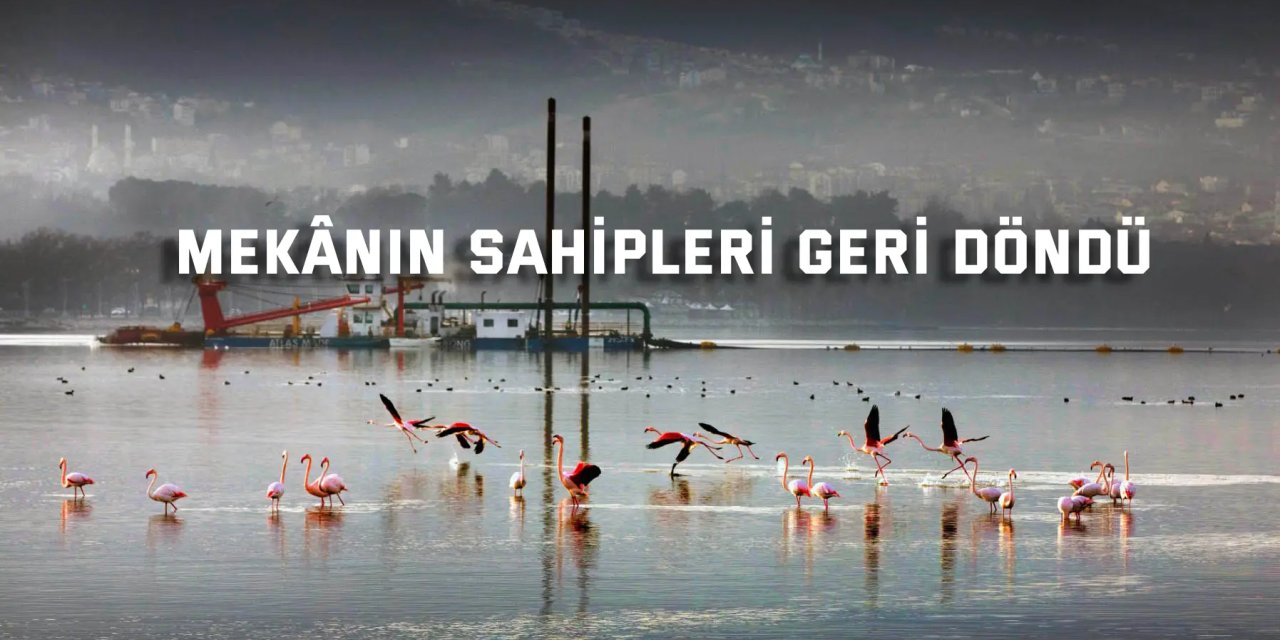 Mekânın sahipleri geri döndü