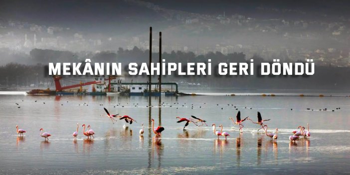 Mekânın sahipleri geri döndü