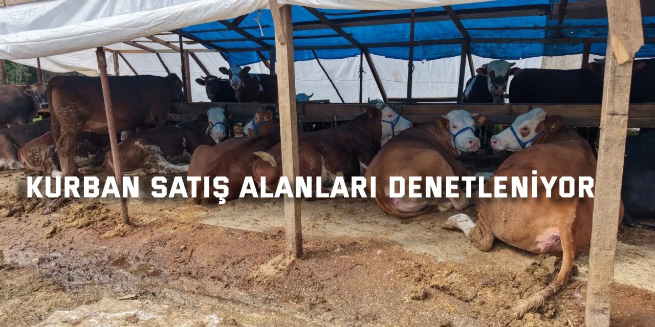 Kurban satış alanları denetleniyor