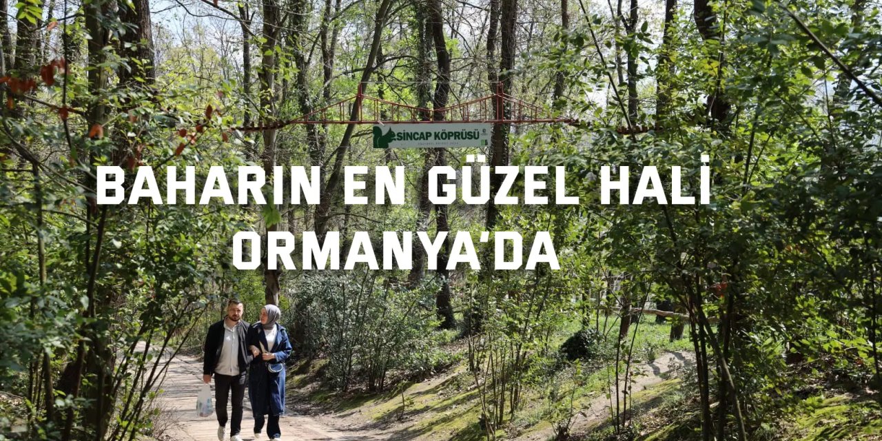 Baharın en güzel hali Ormanya’da