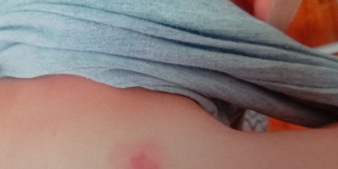 Gebze’de Okulda Şiddet İddiası