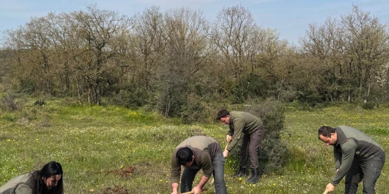 Yarım milyonluk ceza