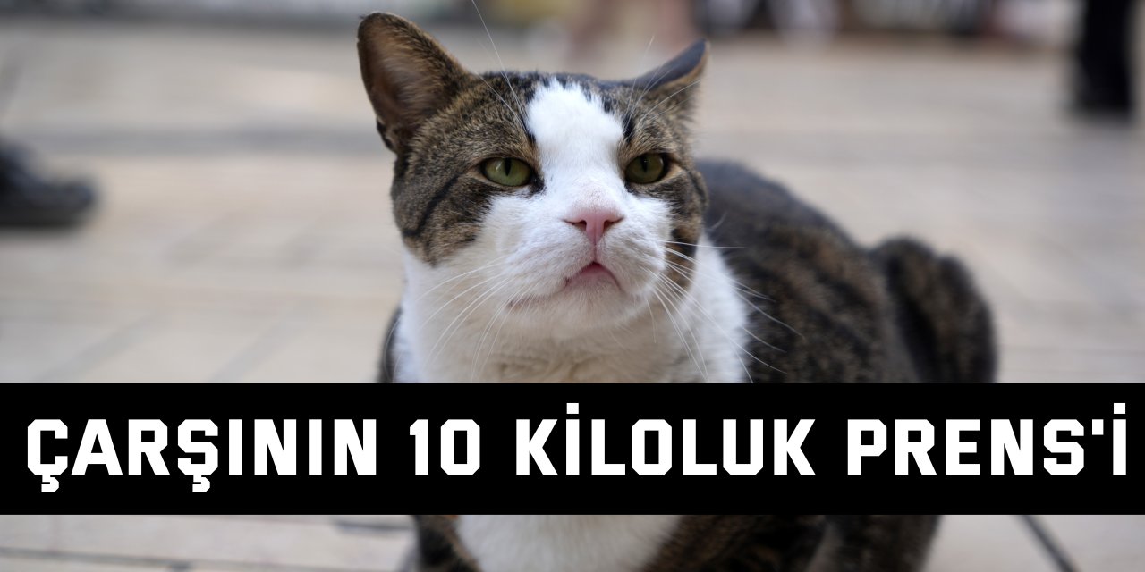 Çarşının 10 kiloluk Prens'i