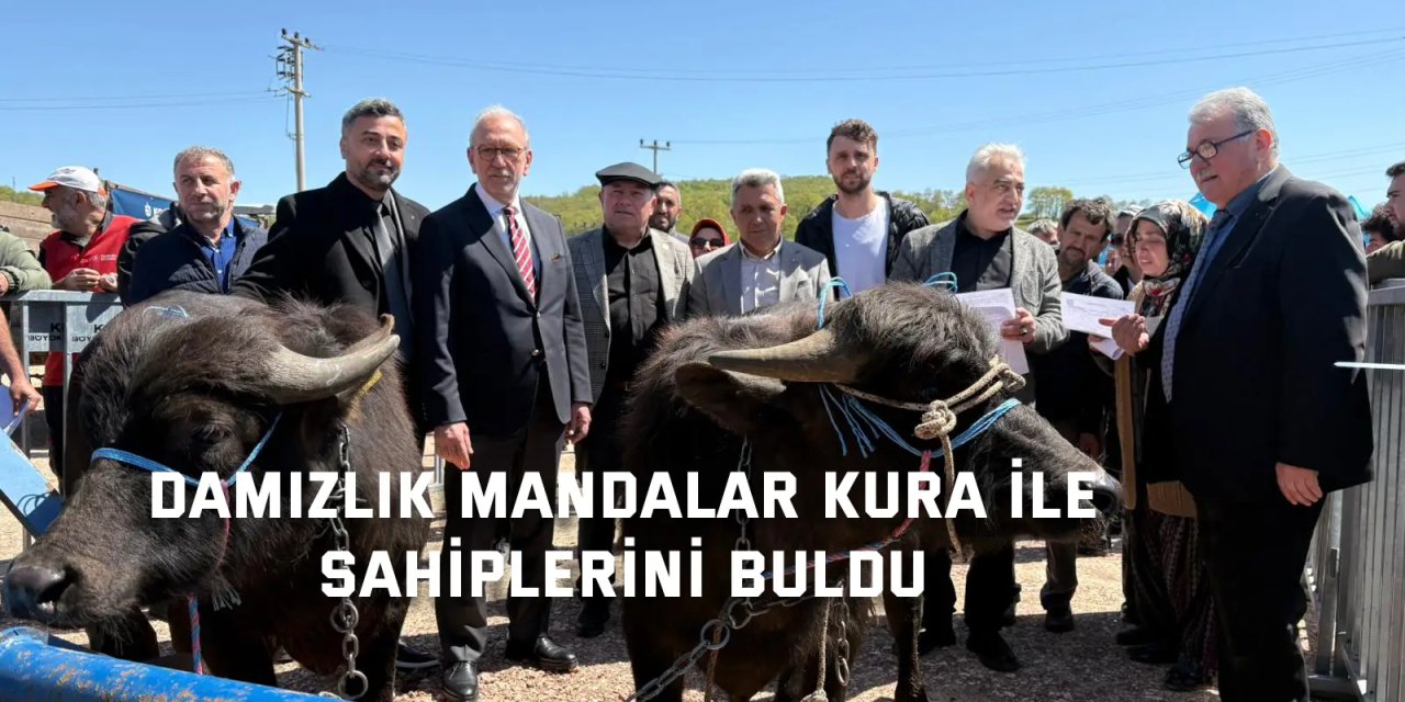 Kocaeli’de hayvancılık daha kolay