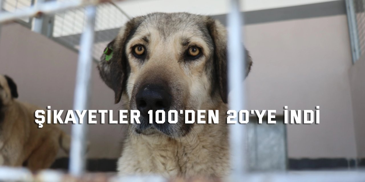 Şikayetler 100'den 20'ye indi
