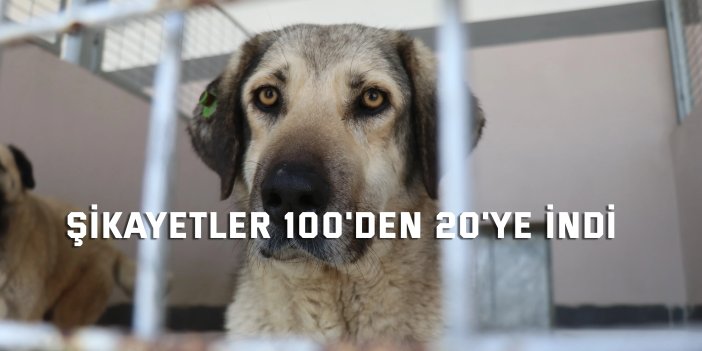 Şikayetler 100'den 20'ye indi
