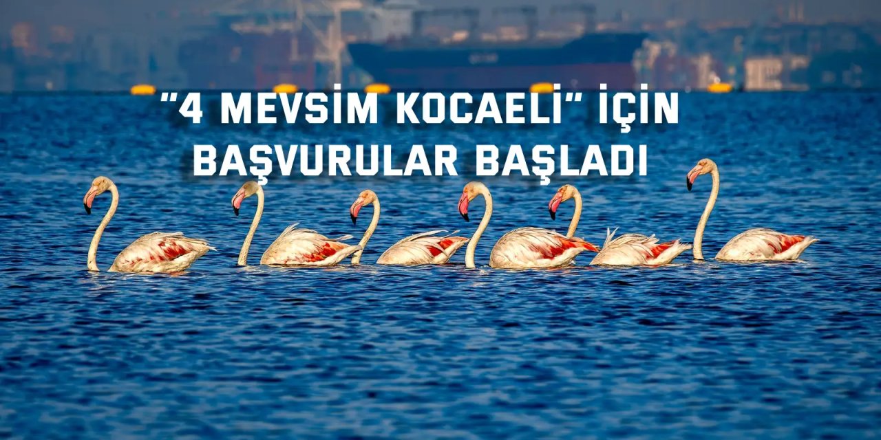 “4 Mevsim Kocaeli” için başvurular başladı