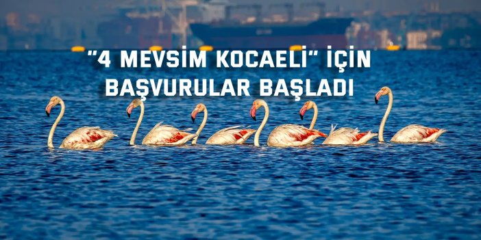 “4 Mevsim Kocaeli” için başvurular başladı