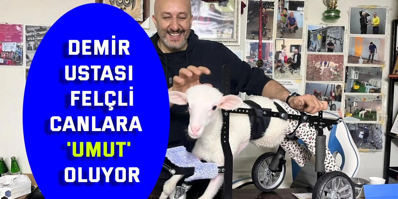 Demir ustası felçli canlara 'umut' oluyor: 9 yılda bin hayvanı ayağa kaldırdı