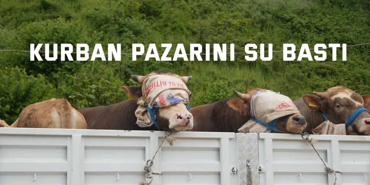 Kurban pazarını su bastı