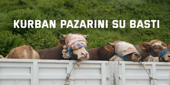 Kurban pazarını su bastı