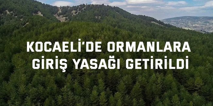 Kocaeli’de ormanlara giriş yasağı getirildi