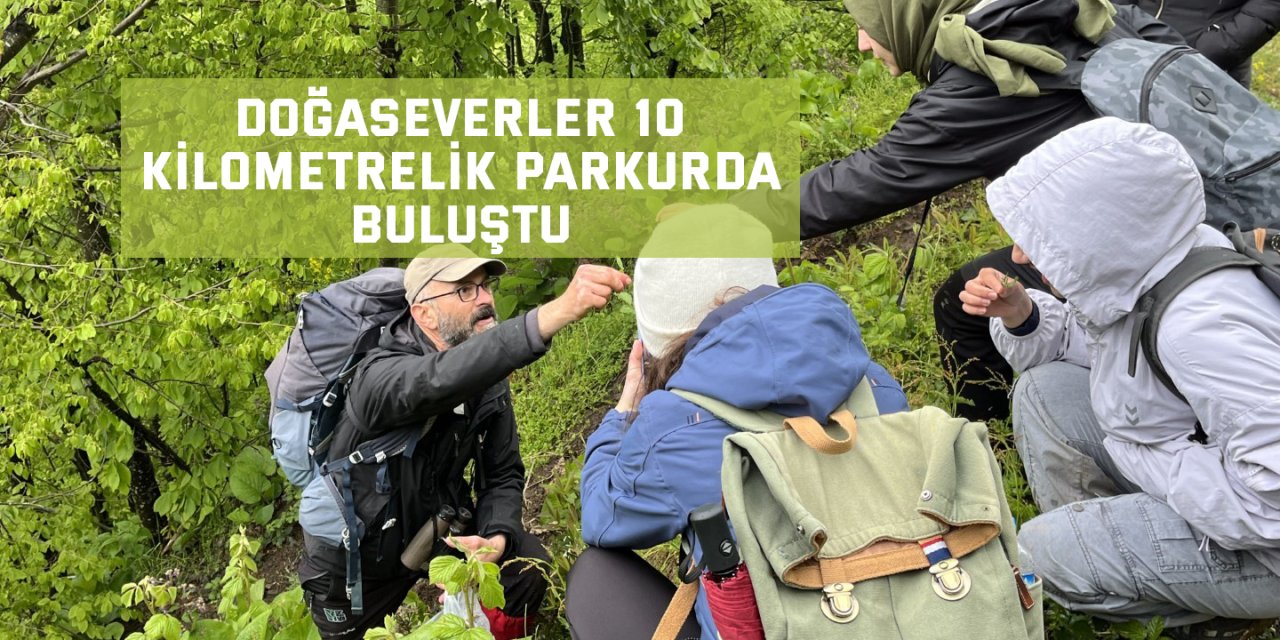 Doğaseverler 10 kilometrelik parkurda buluştu
