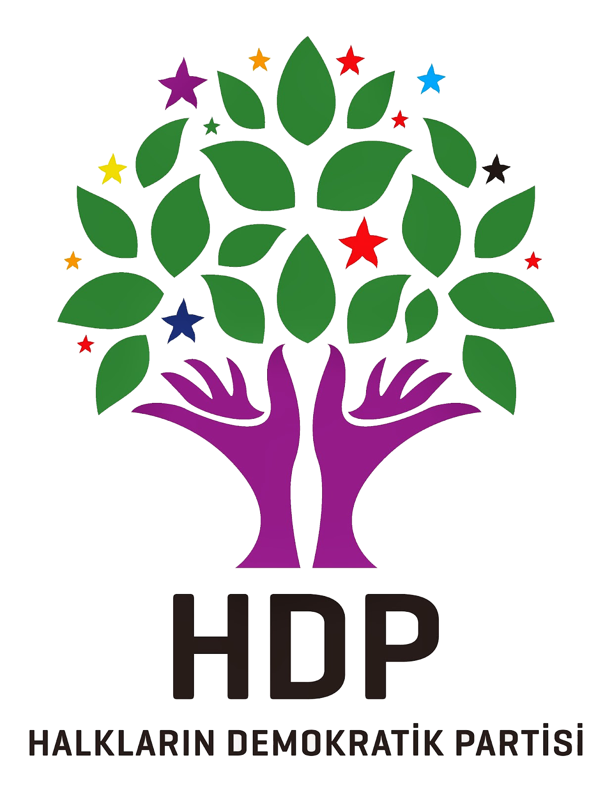 HDP’den kınama 