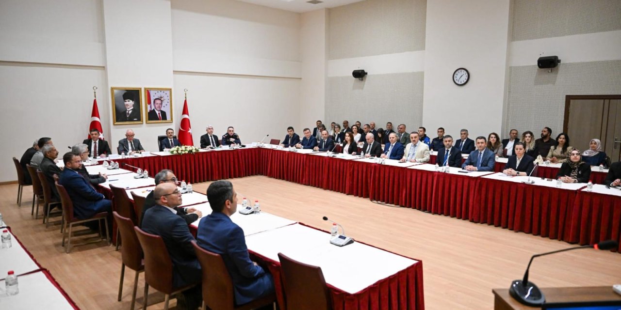Roman İl Eylem Planı  Hazırlık Çalıştayı Yapıldı