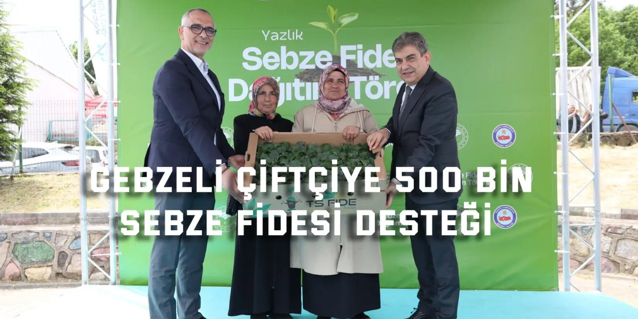 Gebzeli çiftçiye 500 bin sebze fidesi desteği