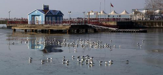 İzmit'te deniz buz tuttu
