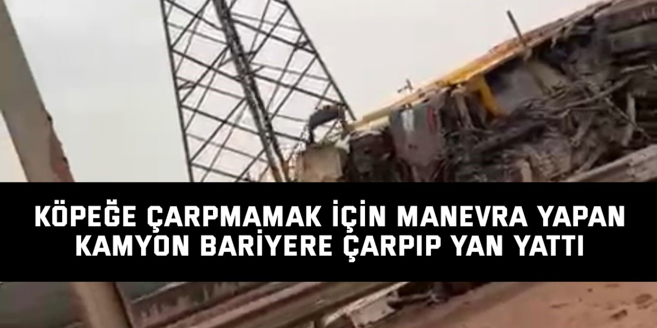 Köpeğe çarpmamak için manevra yapan kamyon bariyere çarpıp yan yattı