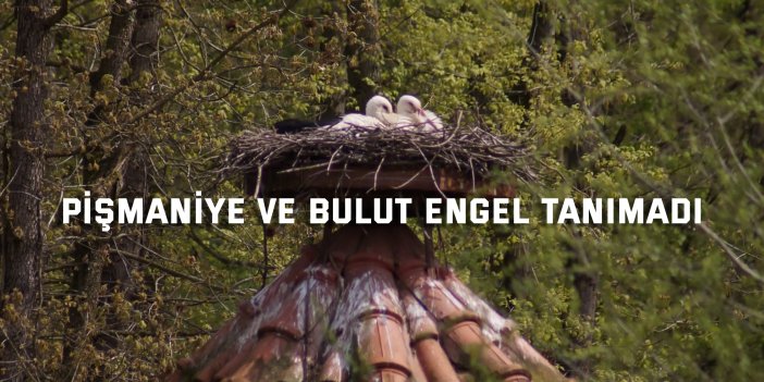 Düşkün Leylekler Evi’nde engel tanımayan aşk