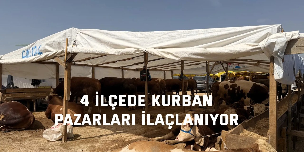 4 ilçede kurban pazarları ilaçlanıyor