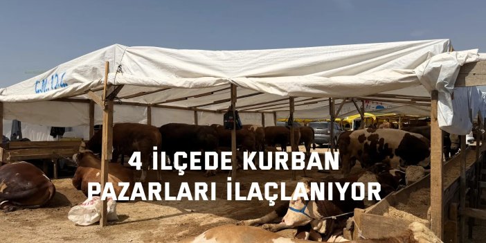 4 ilçede kurban pazarları ilaçlanıyor