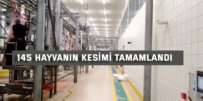 Büyükşehir Mezbahası’nda kurban kesim işlemi tamam