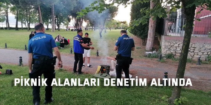 Piknik alanları denetim altında