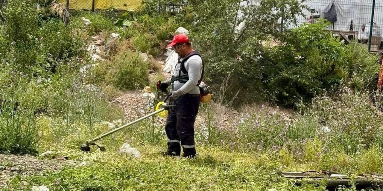 Körfez Belediyesi ot temziliği yapıyor